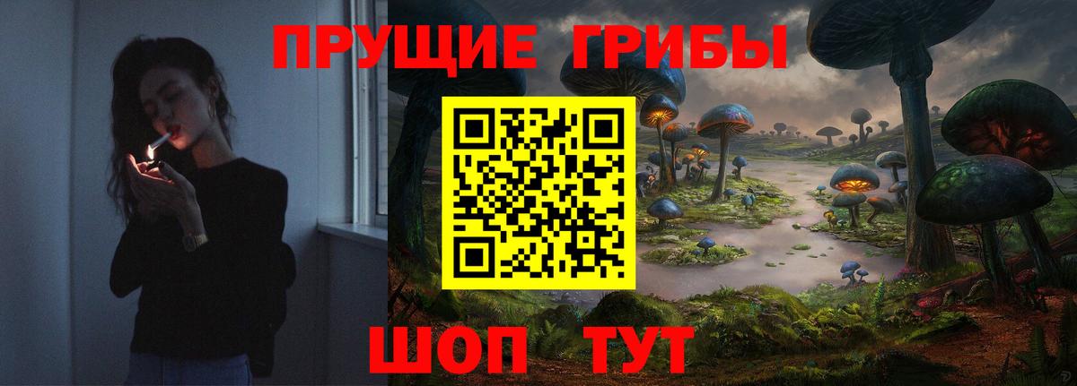 Псилоцибиновые грибы мицелий Уварово